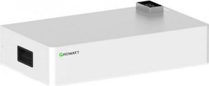 Зовнішня батарея для ДБЖ/інвертора Growatt Axe 5.0L-C1 LiFePO4 51,2V 100AH 5120Wh (GR-BT-5KWH)
